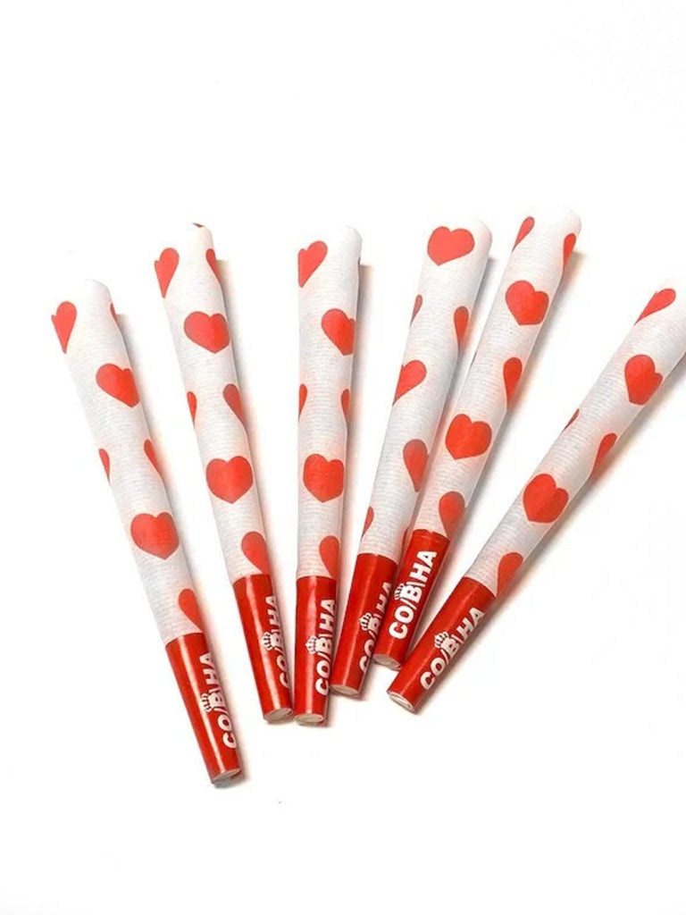 Big Loves Gravity Box 24 Tubes Designer Pre-Roll Cones