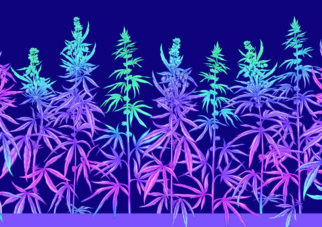 Greeting Cards - Limited Edition V1 CO/B\HA 