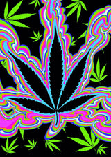 Greeting Cards - Limited Edition V1 CO/B\HA