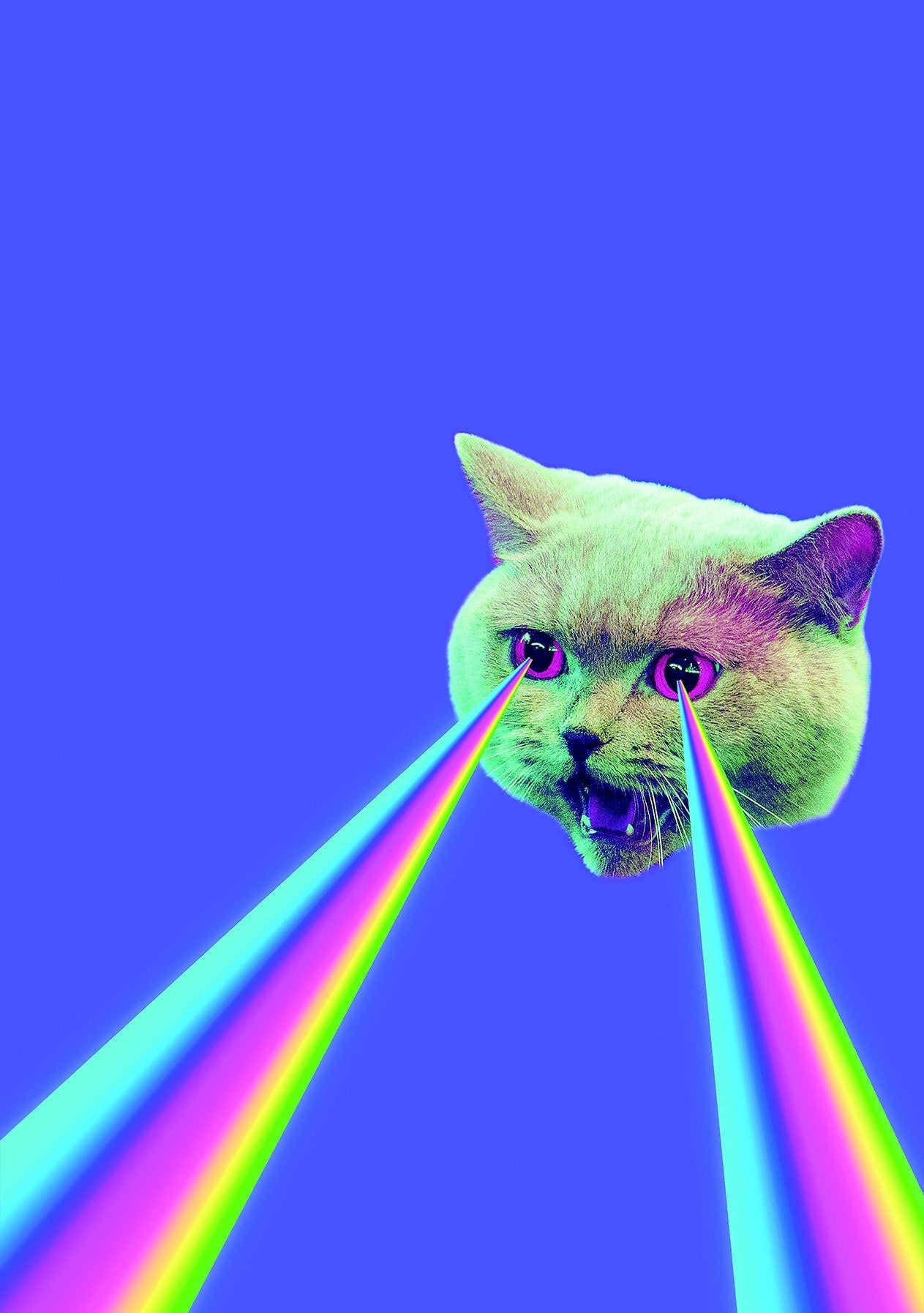 Greeting Cards - Limited Edition V6 CO/B\HA