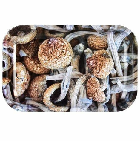 Pulsar Shroom Collage Metal Rolling Tray - Medium - CO/B\HA